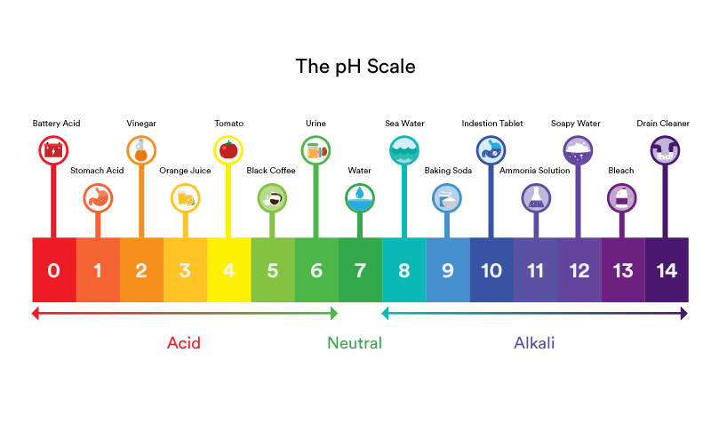 Different Ph Levels In Water