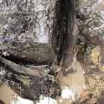 house foundation water leaks detection-melbourne