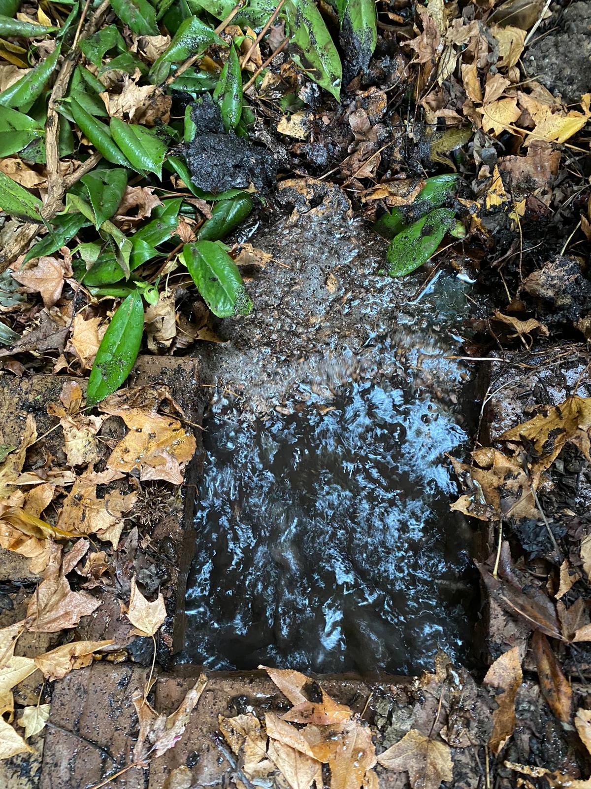 water leak detection back yard