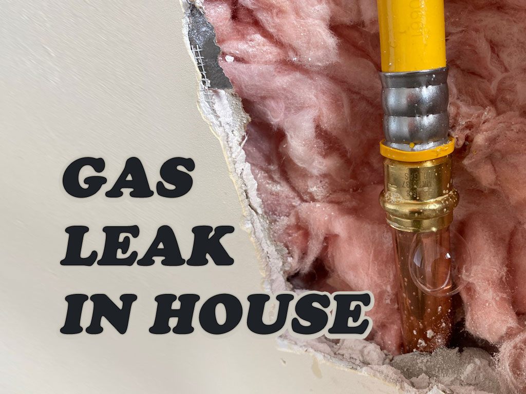GAS LEAKS IN HOUSE