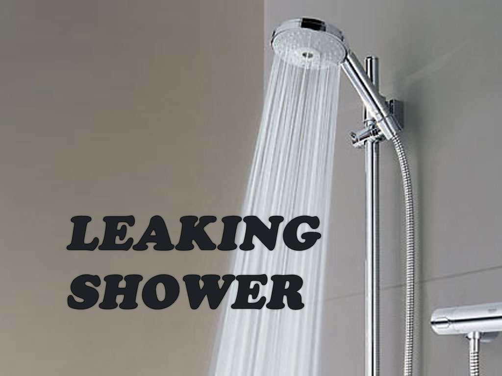 Leaking Shower