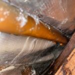 water-leak detection in wall old pipes