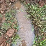 Underground Water Leak Detection Caulfield