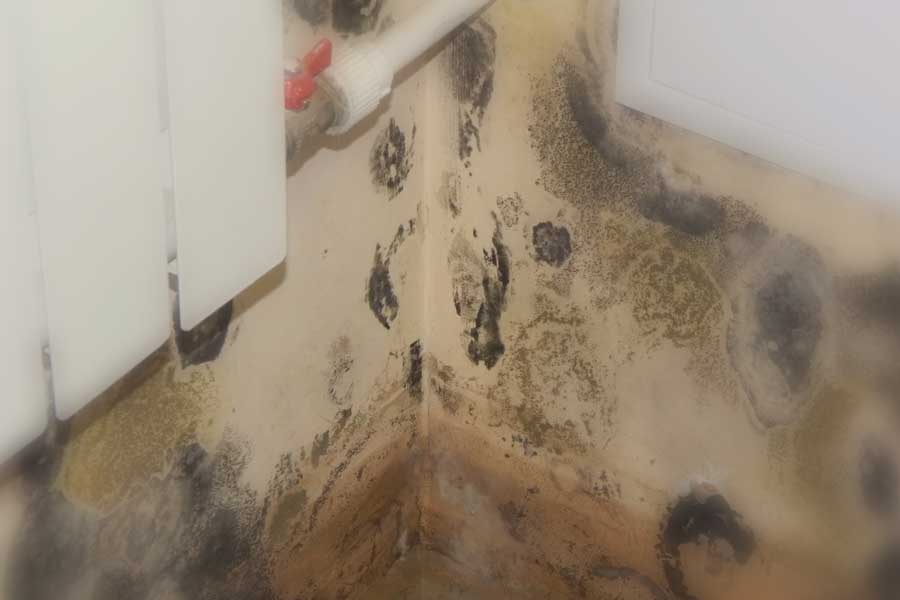 water leak mould on walls