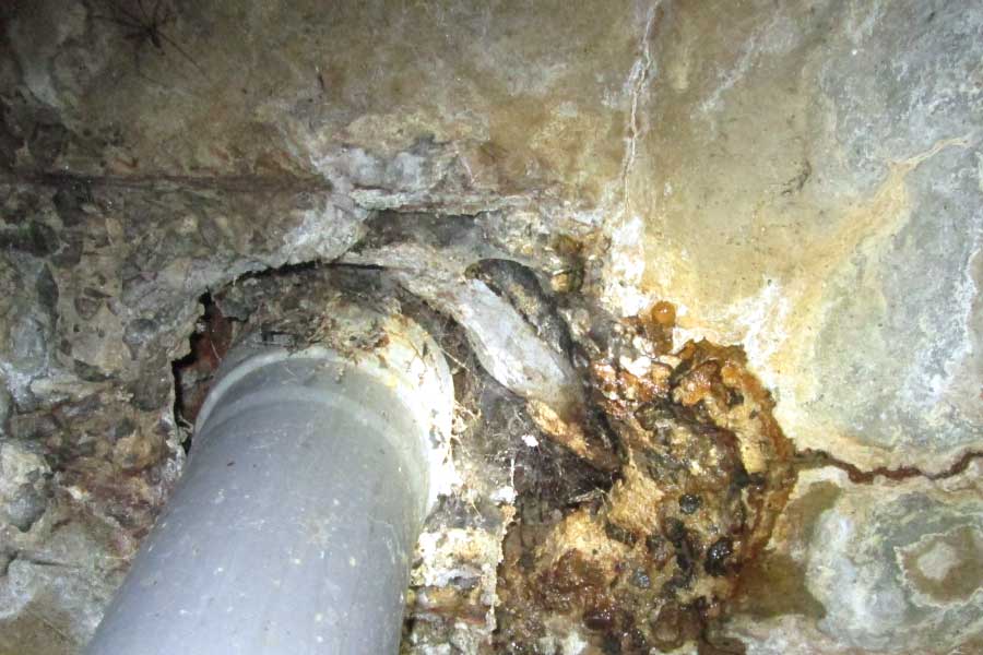 water leaks structural damage