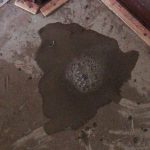 water leak detection sandringham