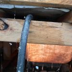 water leak detection sandringham