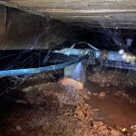 water leak detection sandringham