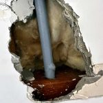 leak detection cranbourne