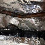 leak detection cranbourne