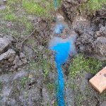 leak detection carrum downs-10