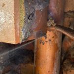 leak detection carrum downs-10