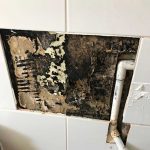 Bathroom Leaks Detection