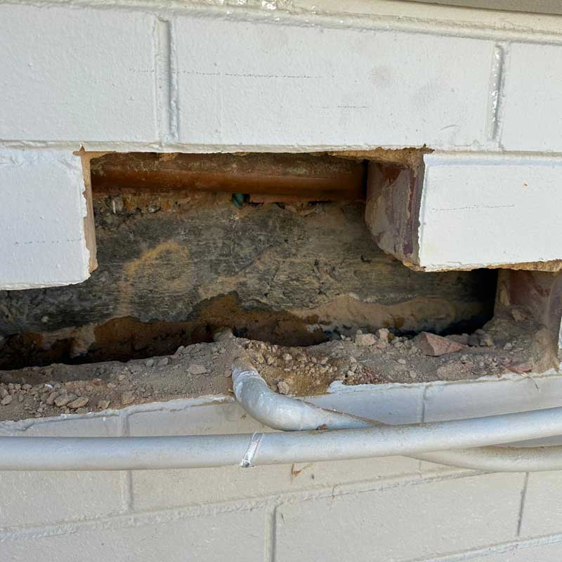 leak detection aspendale gardens