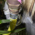 gas leak detection specialist coburg gas leak detection specialist coburg