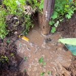 leak detection in house coburg leak detection in house coburg