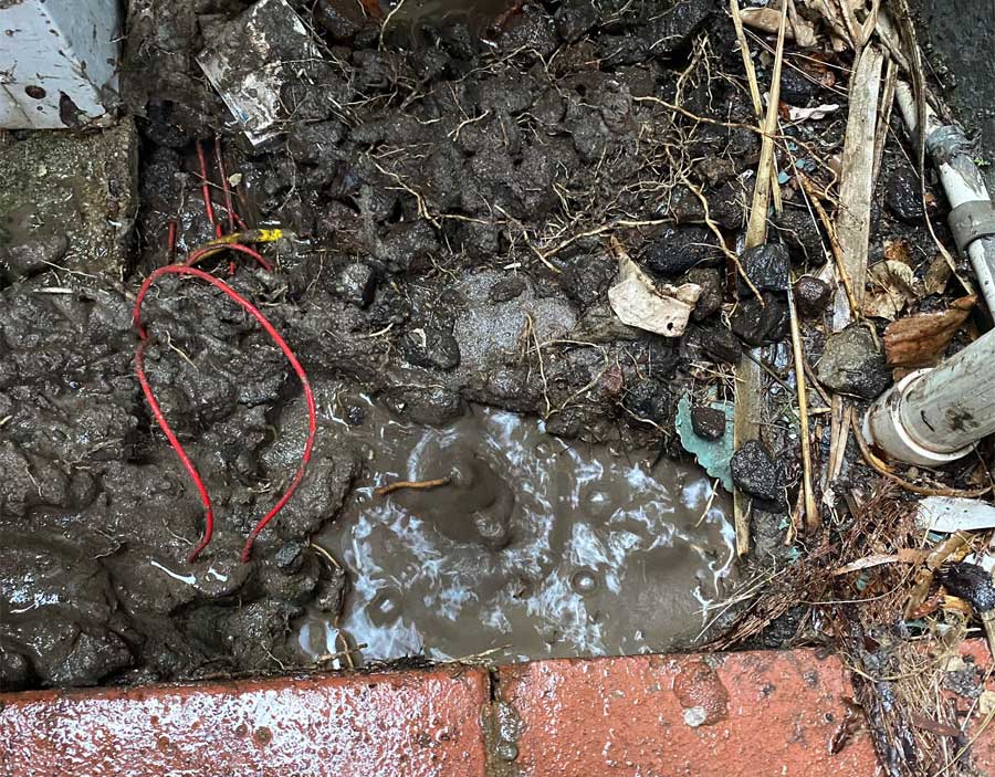 water leak detection coburg