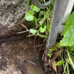 water leak detection eltham