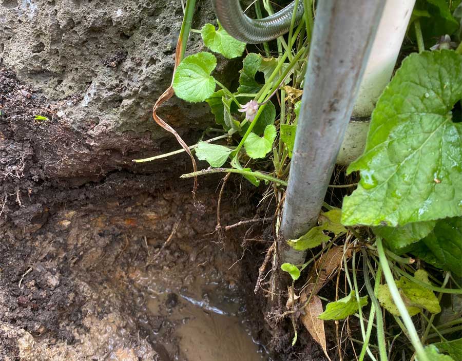 water leak detection eltham