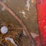 water leak detection in wall coburg water leak detection in wall coburg